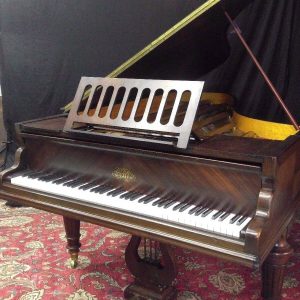 Rare and beautiful Erard grand piano ( free Yamaha key felt cover )