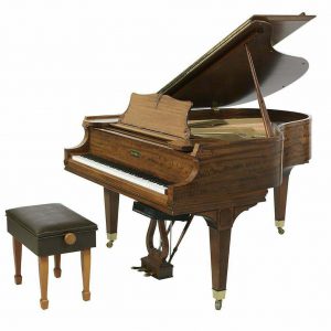 Extraordinary Mason & Hamlin grand piano