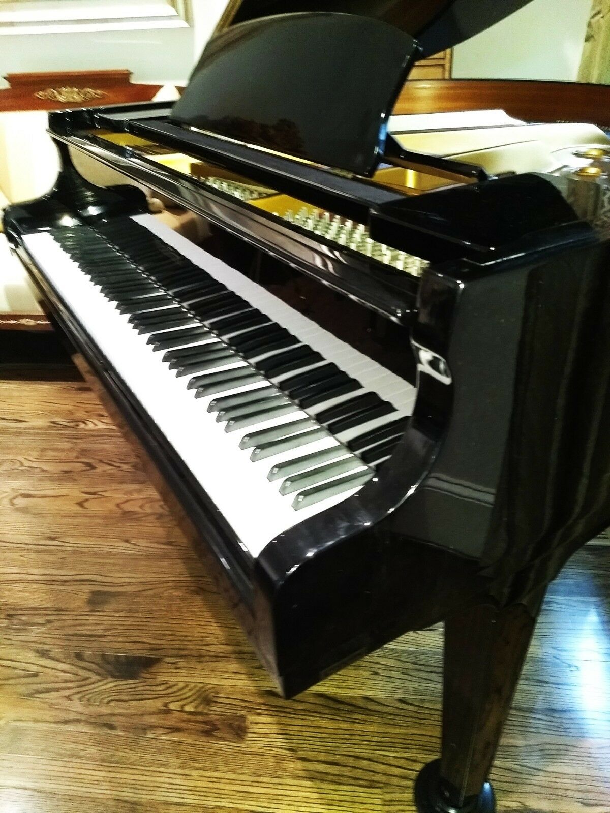 Brand new Black 4'7 baby grand piano A440 Pianos