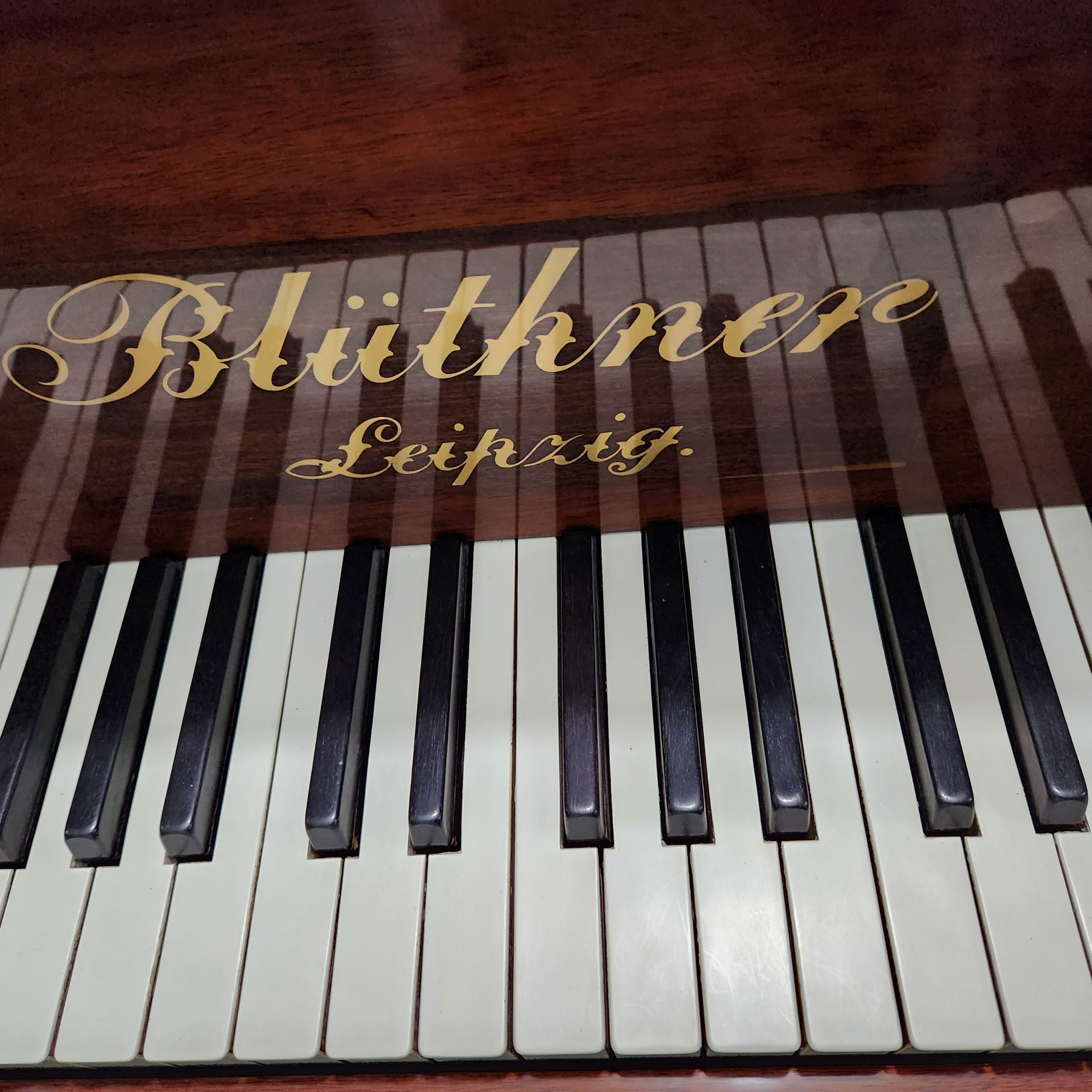 hielo Inadecuado Pino Acoustic grand piano Blüthner model 8 | A440 Pianos