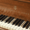 Steinway & Sons Model M Chippendale Grand Piano – 5’7″ - Image 4
