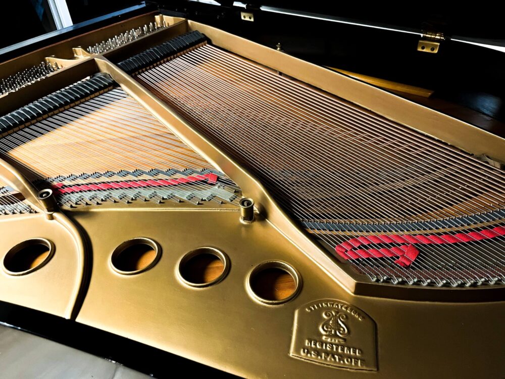 Steinway & Sons Model M 5'7" Grand Piano – Ebonized Finish - Image 6