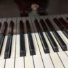 Rare Wurlitzer Butterfly Baby Grand Piano – Beautiful Mahogany - Image 5