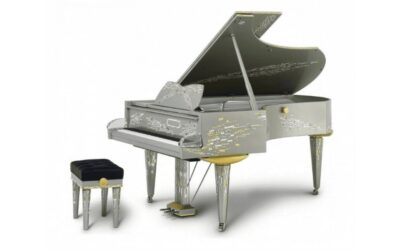 How Professional Piano Movers Guide & Assist to Move Piano?