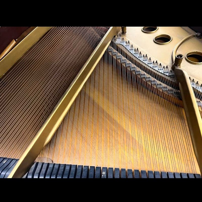 Steinway & Sons Model M – 5'7" Mahogany Grand Piano – Beautiful Tone – Exceptional Value - Image 7