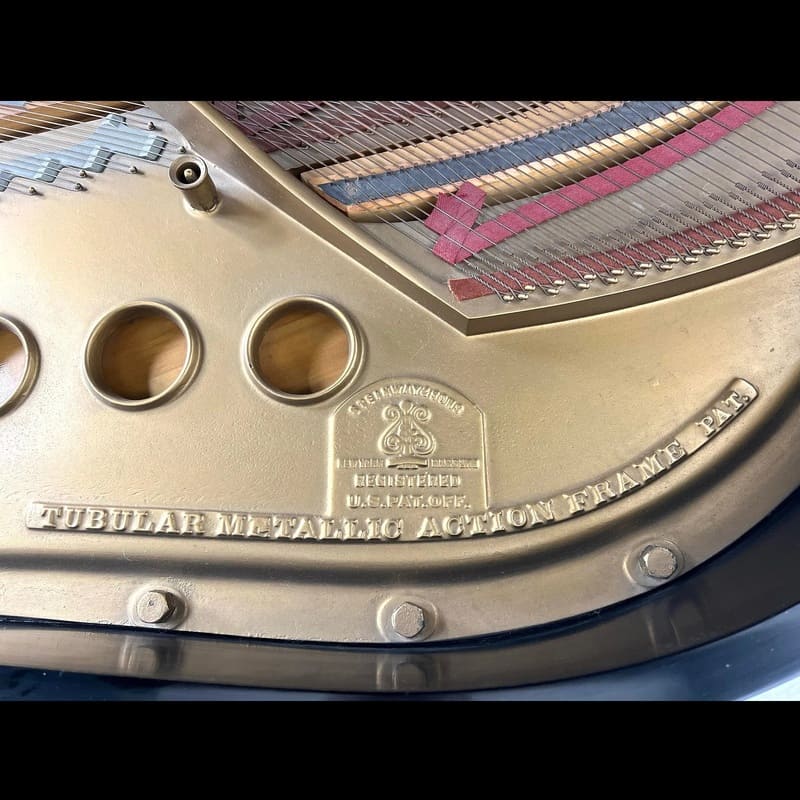 Steinway & Sons Grand Piano – Model M – Ebonized Finish - Image 8