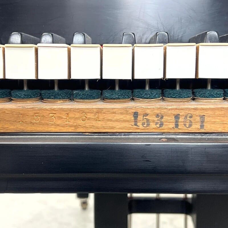 Steinway & Sons Grand Piano – Model M – Ebonized Finish - Image 9