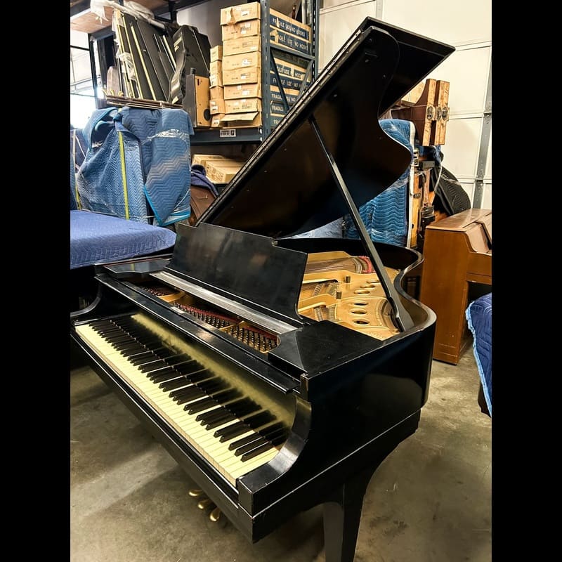 Steinway Model M – 5'7" – Ebonized - Image 3