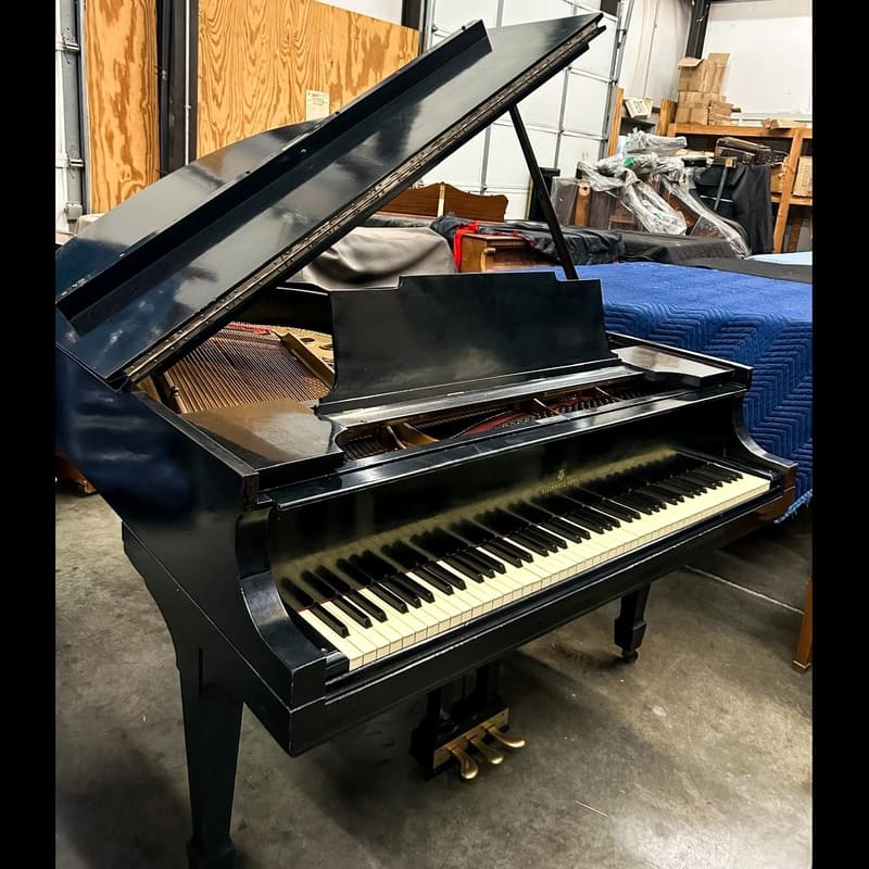 Steinway Model M – 5'7" – Ebonized - Image 4