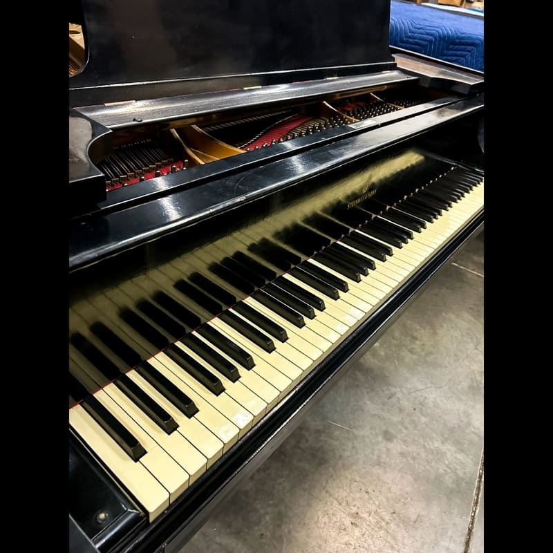 Steinway Model M – 5'7" – Ebonized - Image 5