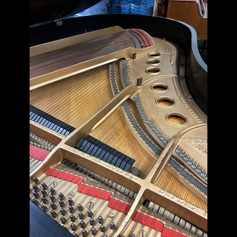 Steinway Model M – 5'7" – Ebonized - Image 8