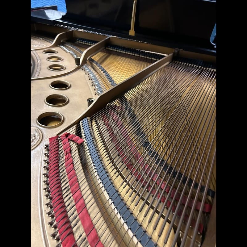 Steinway Model M – 5'7" – Ebonized - Image 9