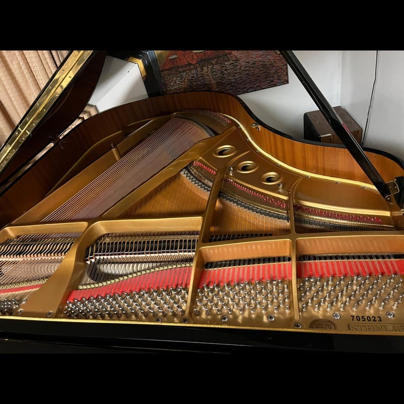 Steinlager 5'7" Grand Piano – Glossy Black - Image 5