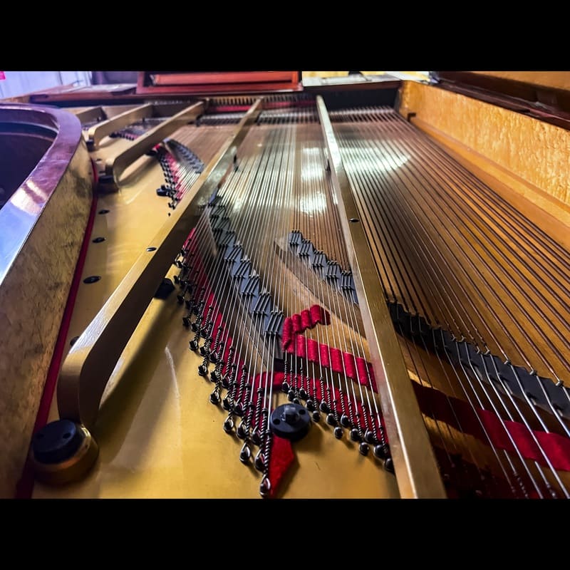 Erard Louis XVI Style Grand Piano, Paris - Rebuilt 2004 - Image 10