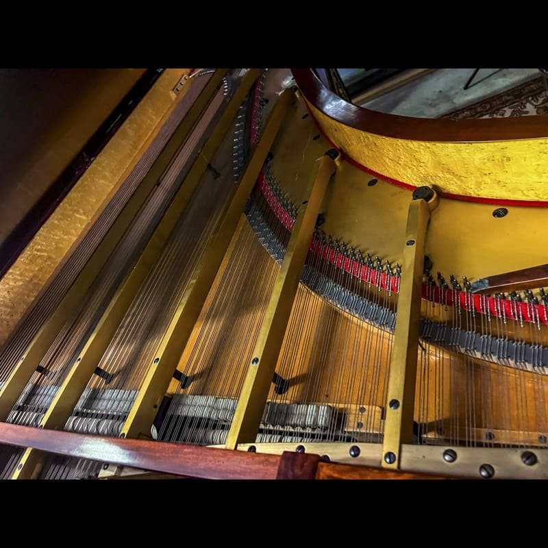 Erard Louis XVI Style Grand Piano, Paris - Rebuilt 2004 - Image 11