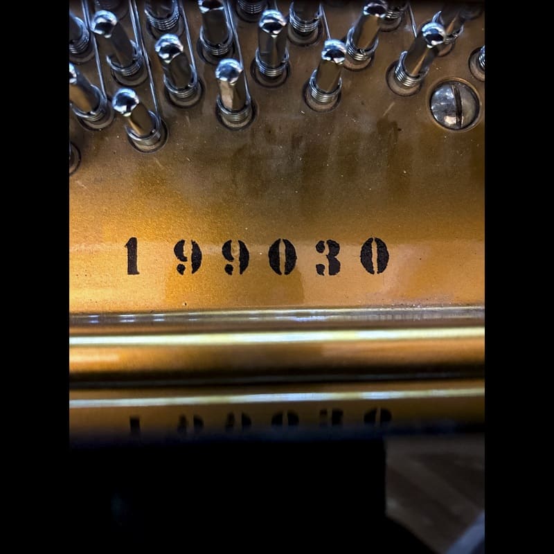 Premium Bechstein A190 Grand Piano - Image 11
