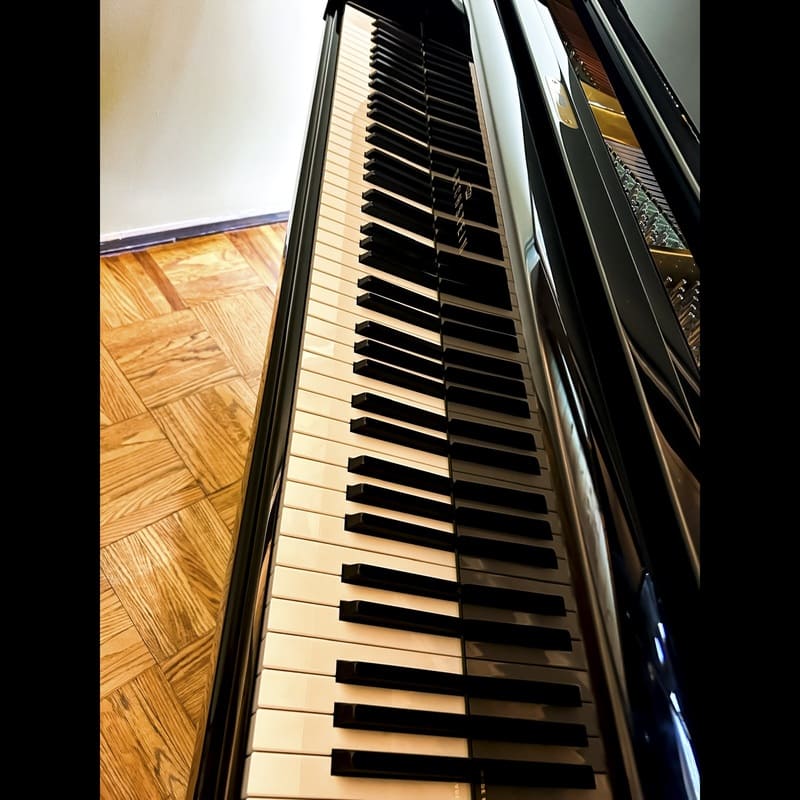 Premium Bechstein A190 Grand Piano - Image 6