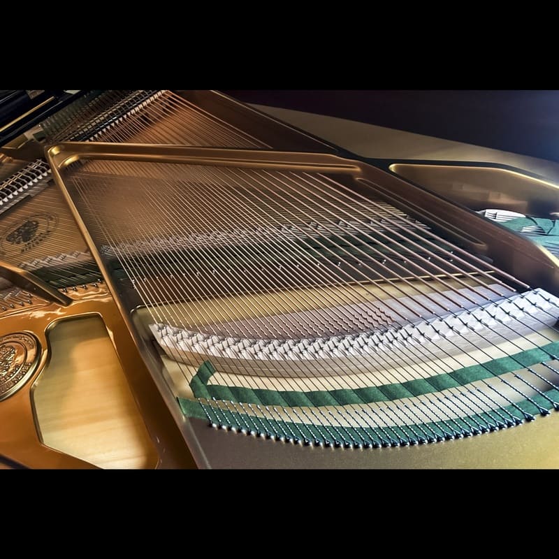 Premium Bechstein A190 Grand Piano - Image 8