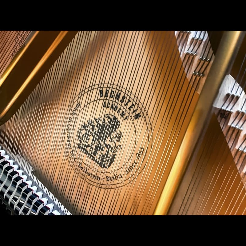 Premium Bechstein A190 Grand Piano - Image 9