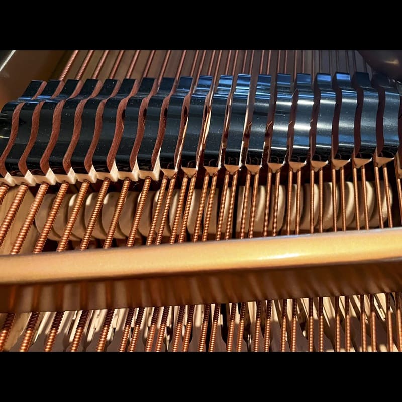 Majestic Semi-Concert Grand: Mason & Hamlin Model BB - Image 11