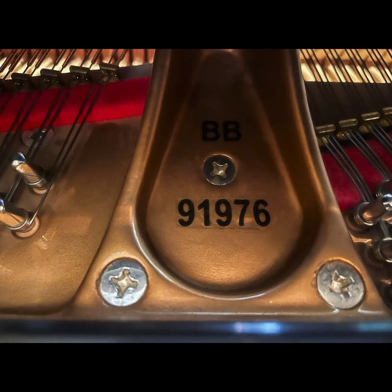Majestic Semi-Concert Grand: Mason & Hamlin Model BB - Image 12