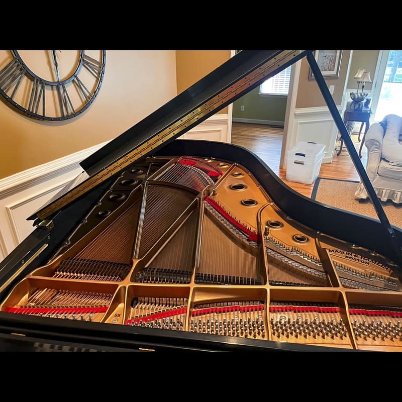 Majestic Semi-Concert Grand: Mason & Hamlin Model BB - Image 7