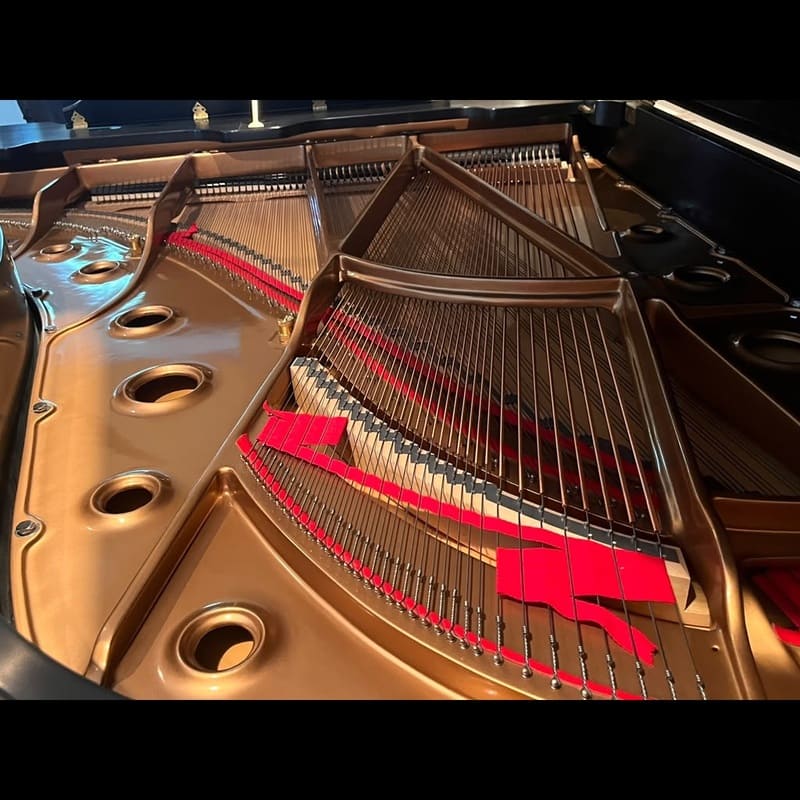 Majestic Semi-Concert Grand: Mason & Hamlin Model BB - Image 9