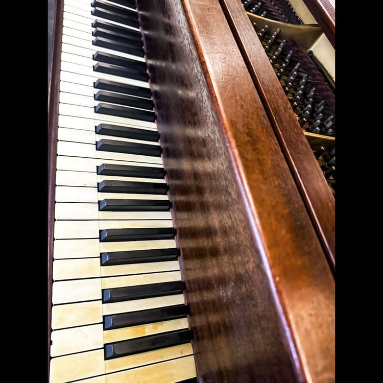 Historic American Craftsmanship: Steinway & Sons Model M Grand Piano - Image 6