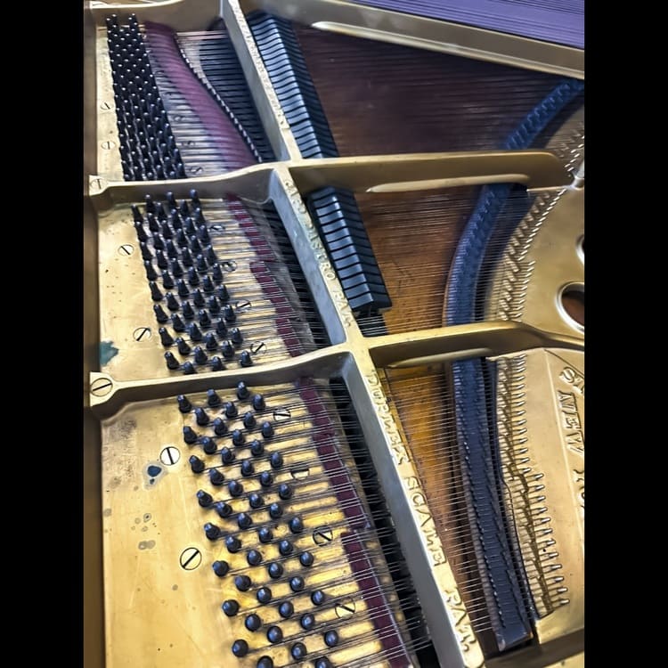 Historic American Craftsmanship: Steinway & Sons Model M Grand Piano - Image 7