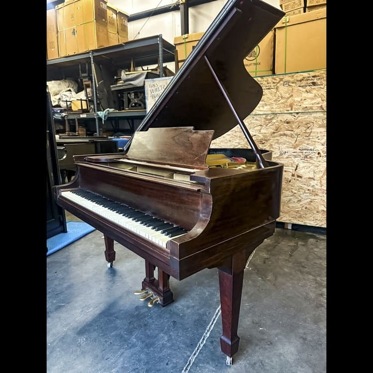 Historic American Craftsmanship: Steinway & Sons Model M Grand Piano - Image 3