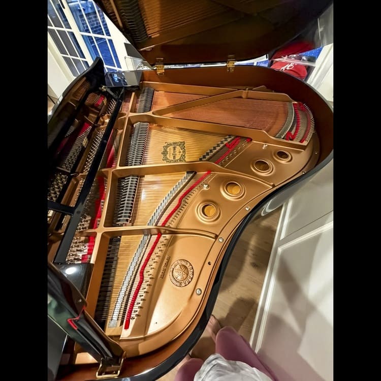 Luxurious Yamaha GB1 Grand with Bluetooth Selfplayer - Image 5